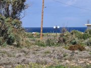 Stavros Kreta, Stavros: Riesiges Grundstück in Strandnähe zu verkaufen Grundstück kaufen